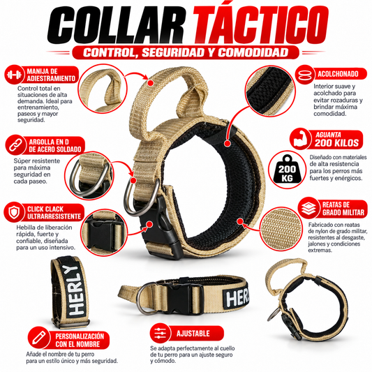 Collar Táctico 200KG + Correa Multiusos