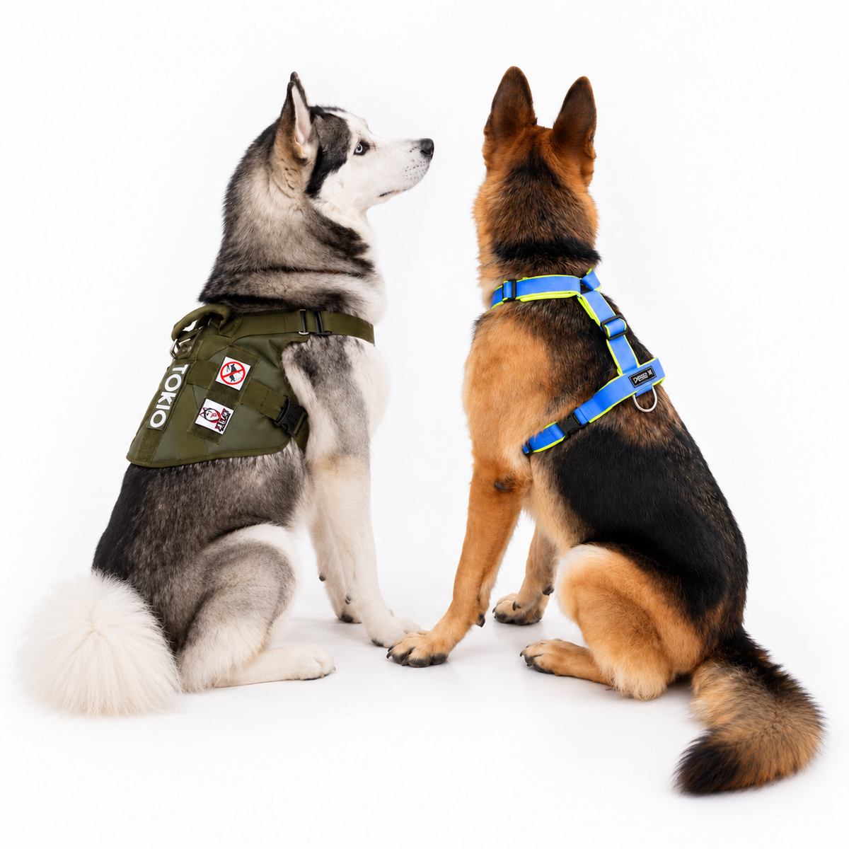 Oferta 2x1 Chaleco Táctico + Arnés Anubis