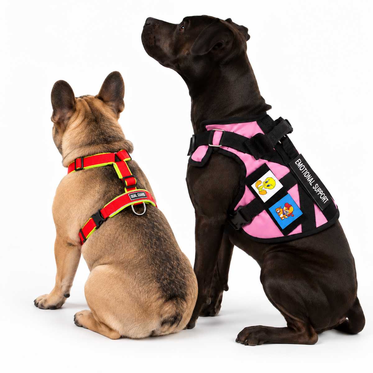 Oferta 2x1 Chaleco Táctico + Arnés Anubis