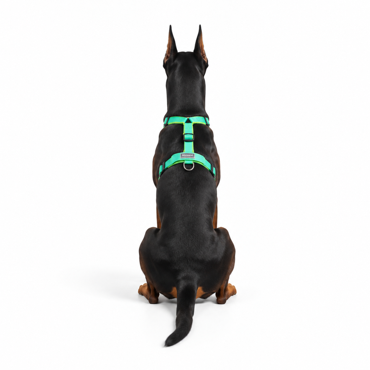 Arnés Anubis Verde Menta