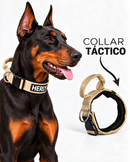 Collar táctico beige personalizado con nombre