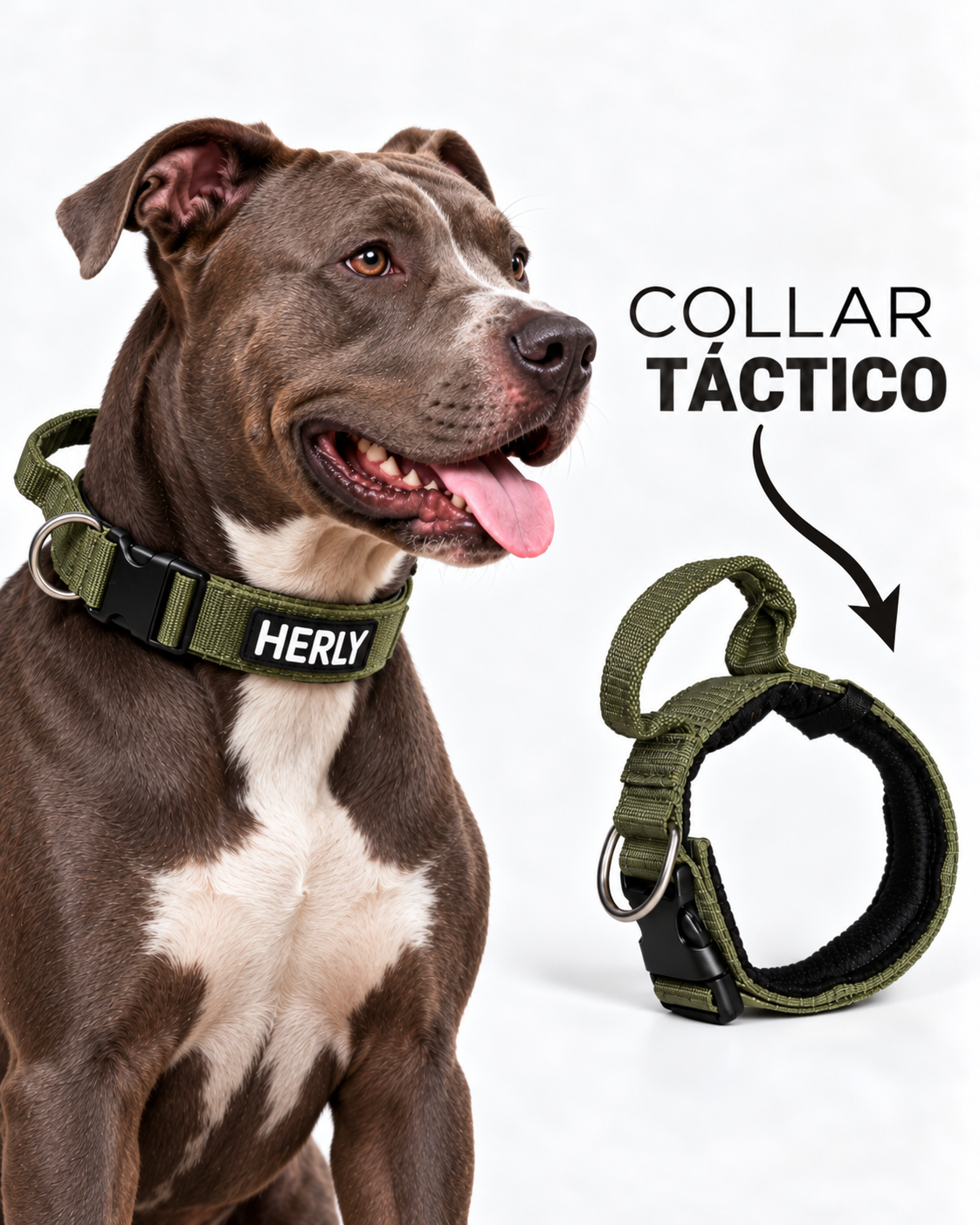 Collar táctico verde militar personalizado con nombre