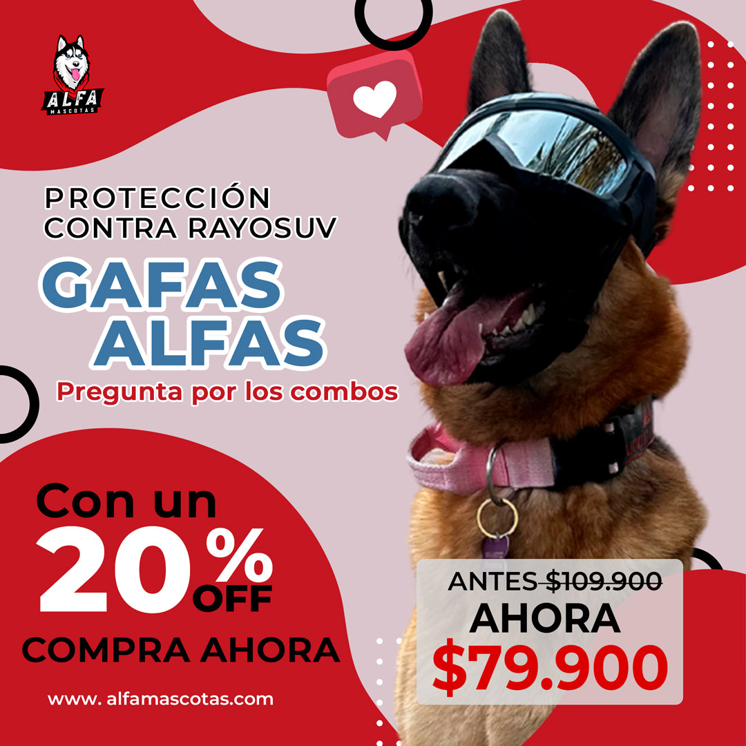 GAFAS ALFA: Protección UV Total para tu Mascota