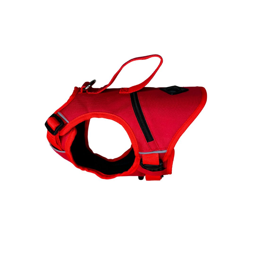 Pechera Tactica Apolo - Anti Tirones + Obsequio Collar