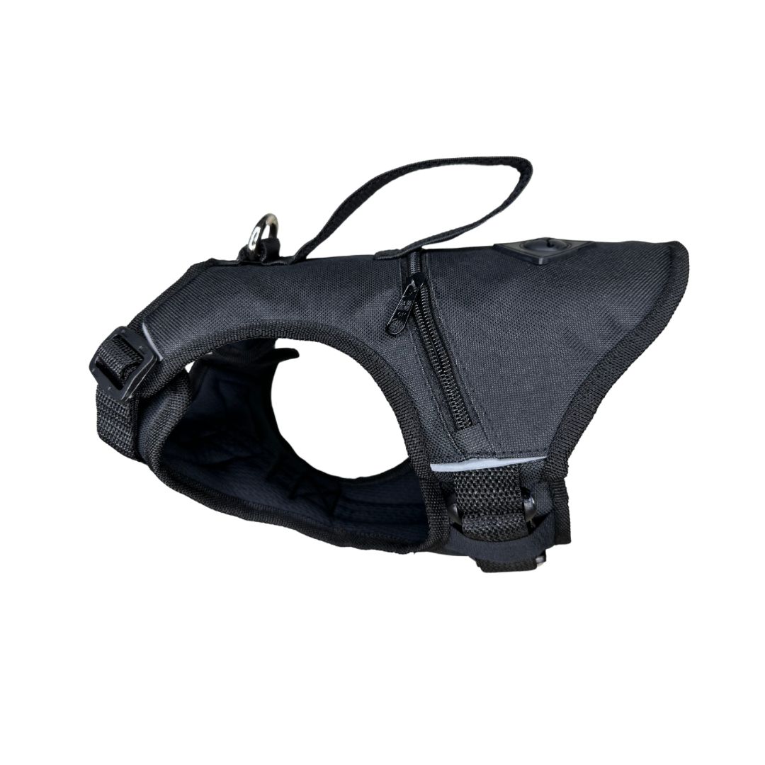 Pechera Tactica Apolo - Anti Tirones + Obsequio Collar