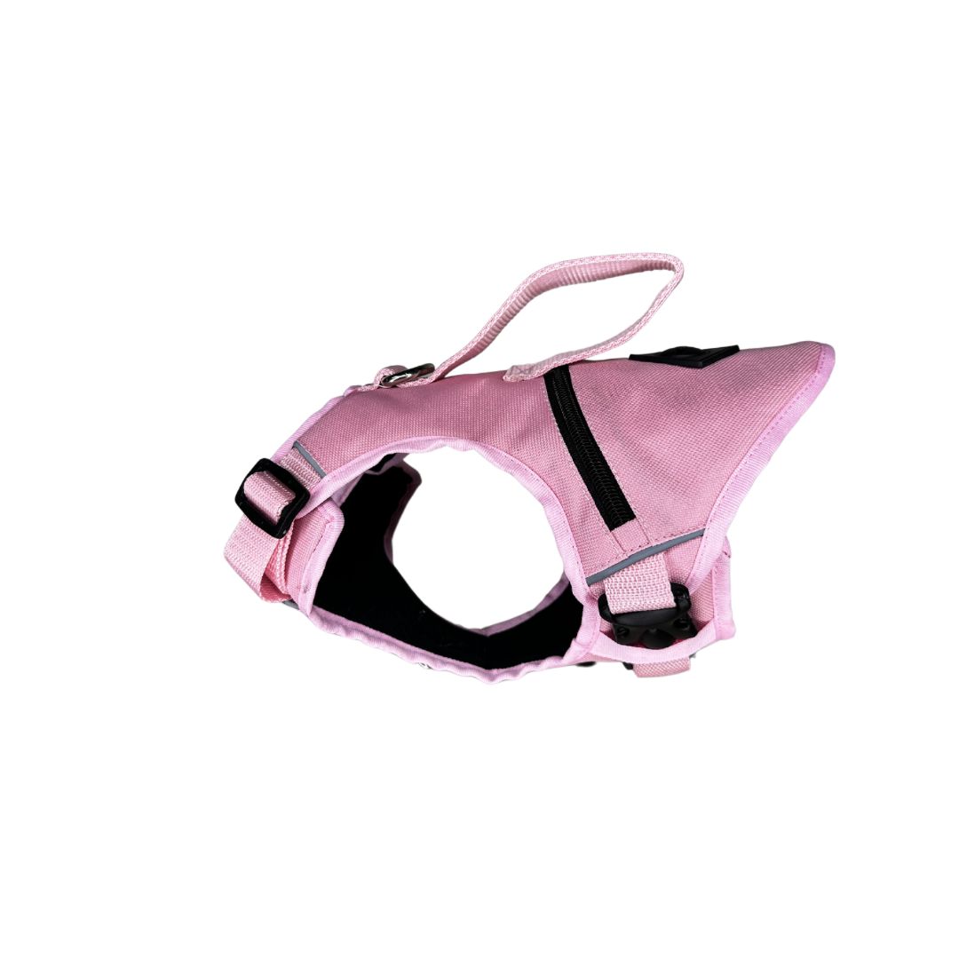 Pechera Tactica Apolo - Anti Tirones + Obsequio Collar