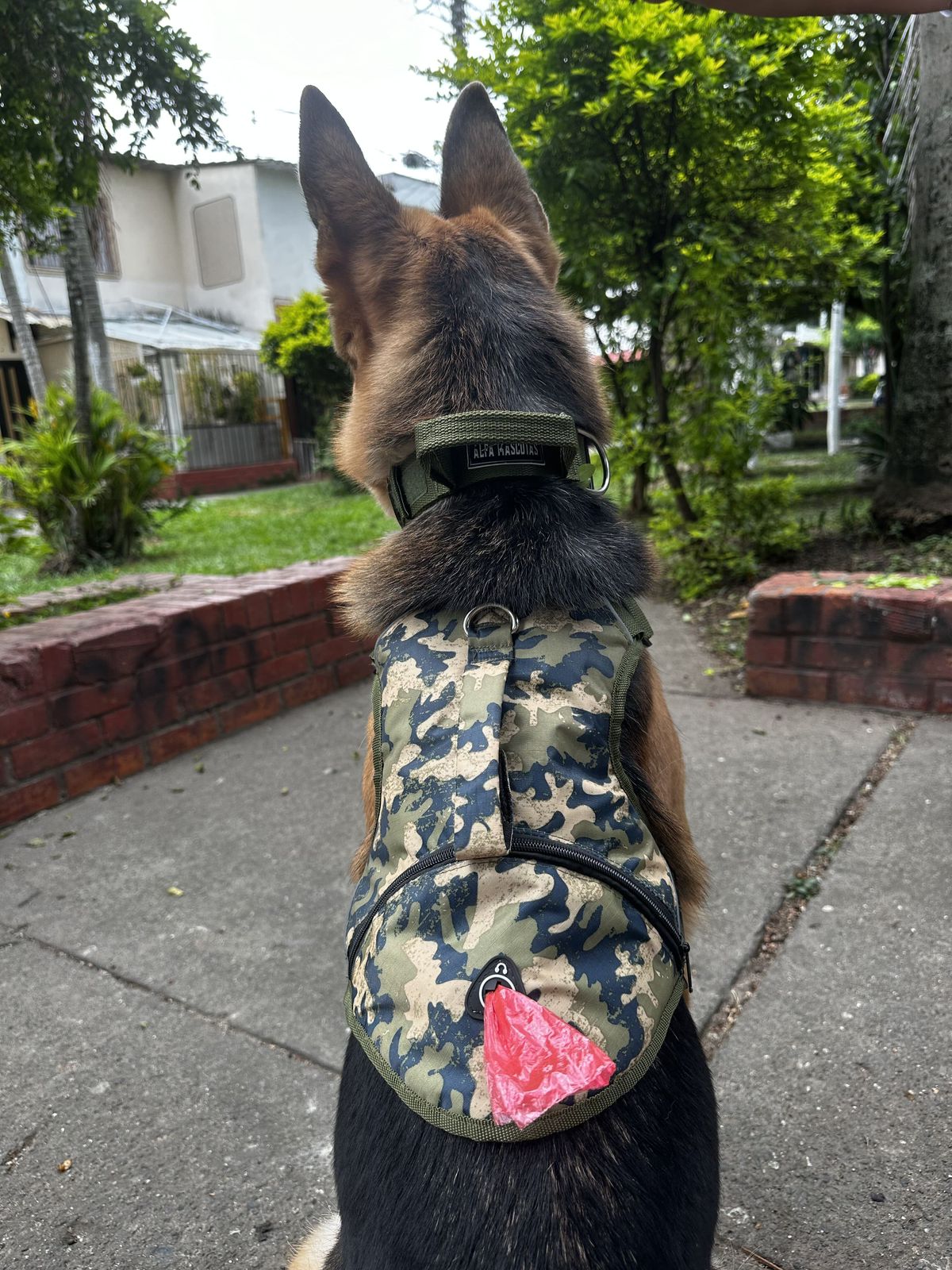 Pechera Tactica Apolo - Anti Tirones + Obsequio Collar