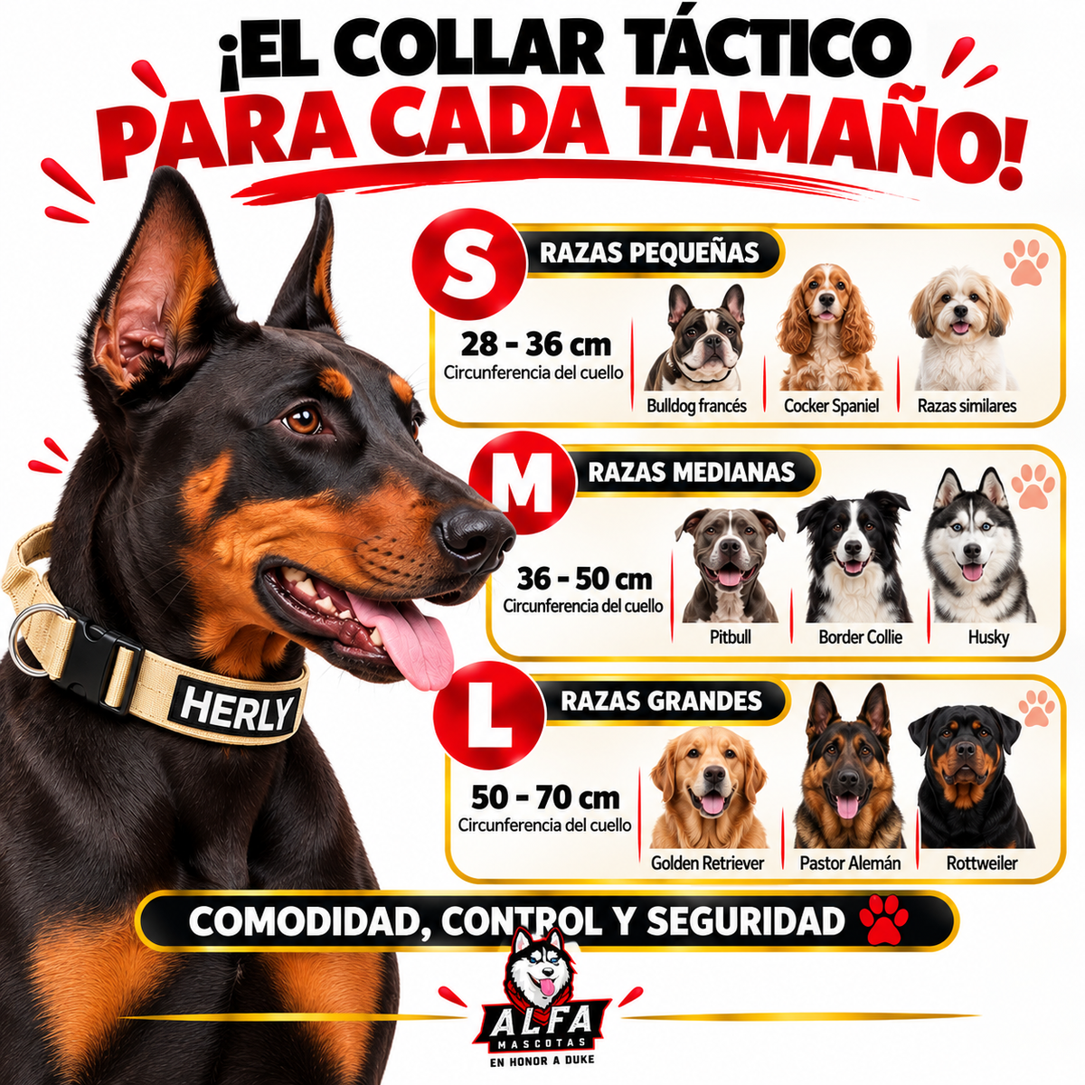 Collar Táctico 200KG + Correa Multiusos